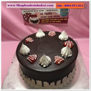 Bánh Sinh Nhật Socola - S134